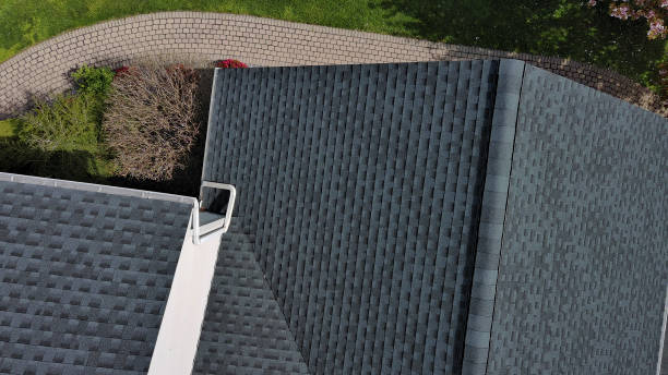 Roof Moss and Algae Removal in Fort Mckinley, OH